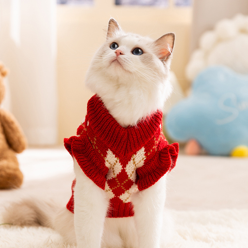cat cloth
